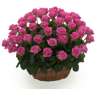 Корзина из 71 розы